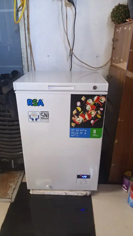 Frezeer RSA 100ltr