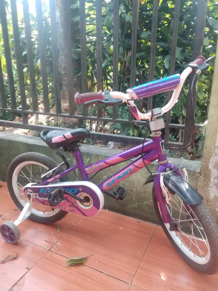 Sepeda anak-anak