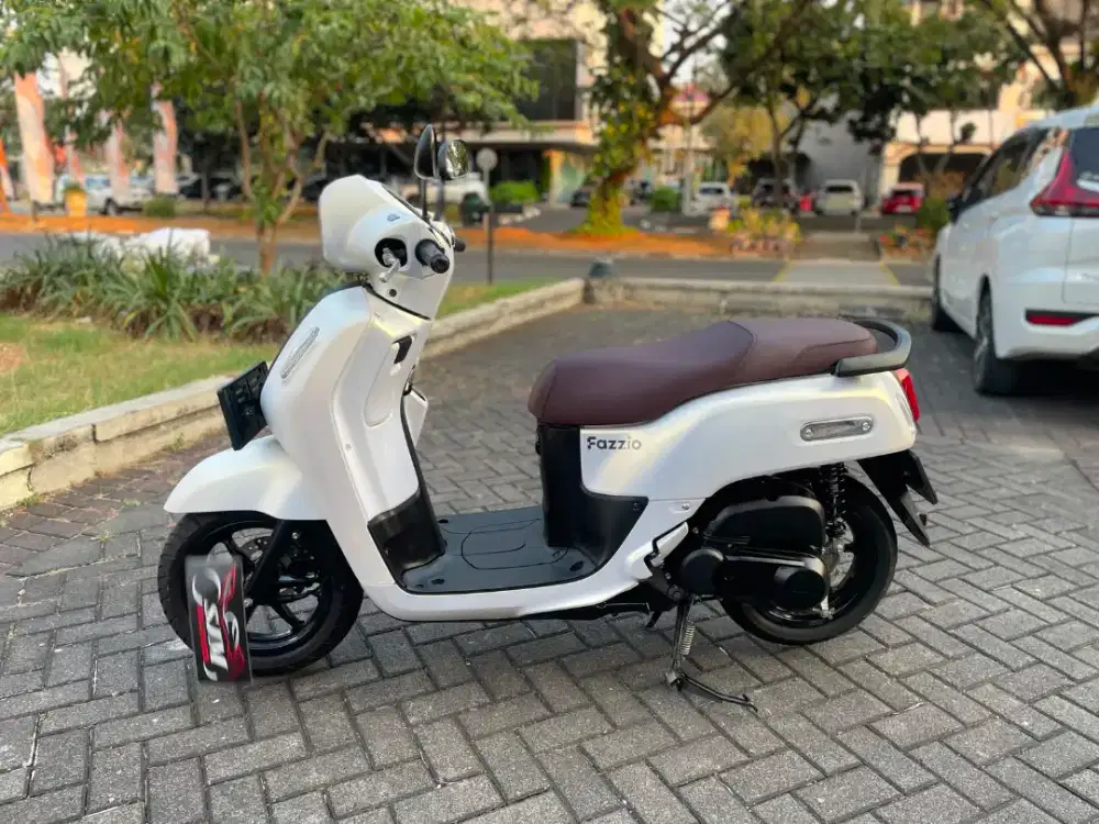 Fazzio Lux 2024 Pajak Panjang