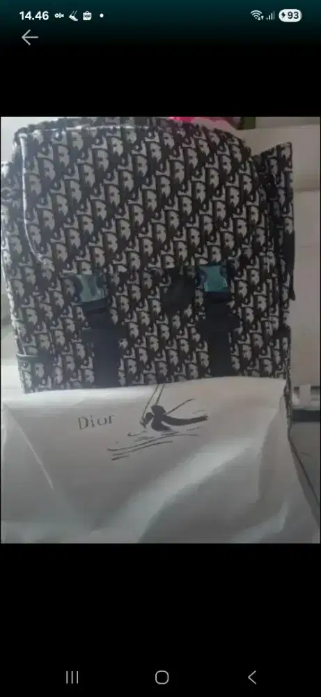 Tas ransel dior