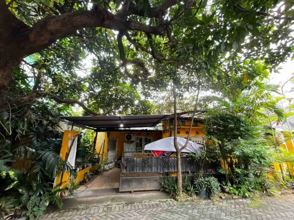 Rumah Medoho Tengah Kota