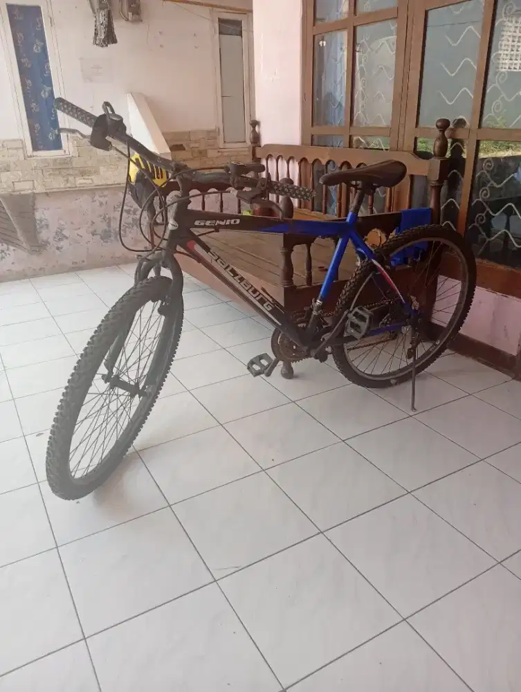 di jual sepeda dewasa