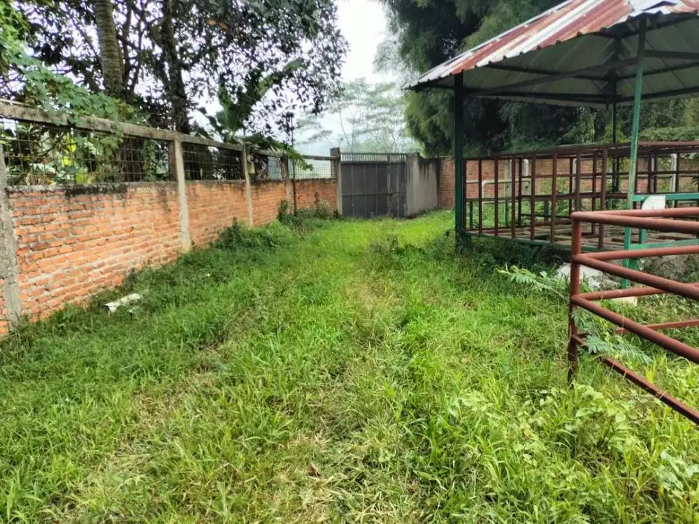 Investasi Menjanjikan Tanah 2 Ha Leuwisadeng Sudah Pagar Keliling Harga Istimewa