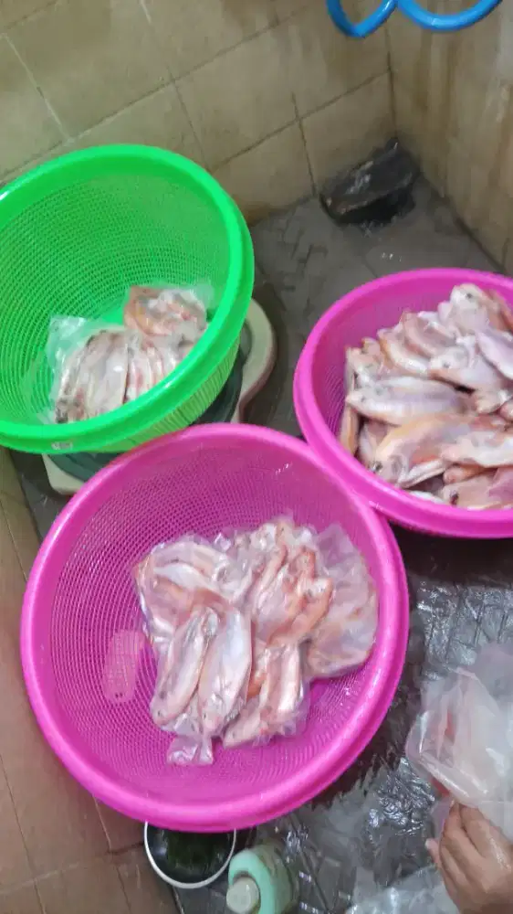 PEKERJA SIANGIN IKAN