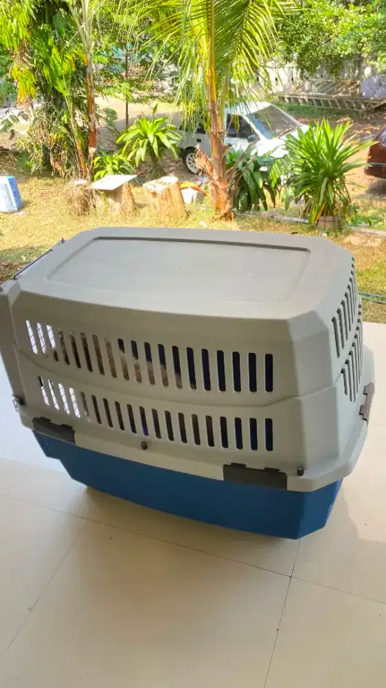 Pet Cargo/Kennel Box