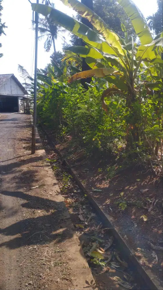 Tanah Pekarangan/kebun