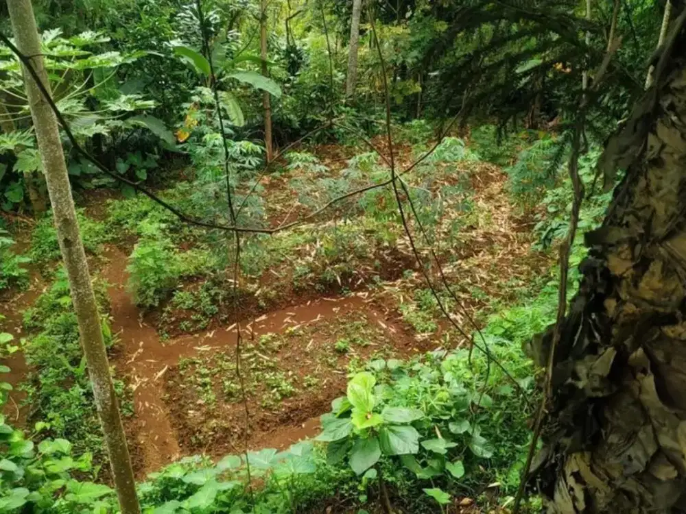 Tanah Cisarua View Gunung 6000M2