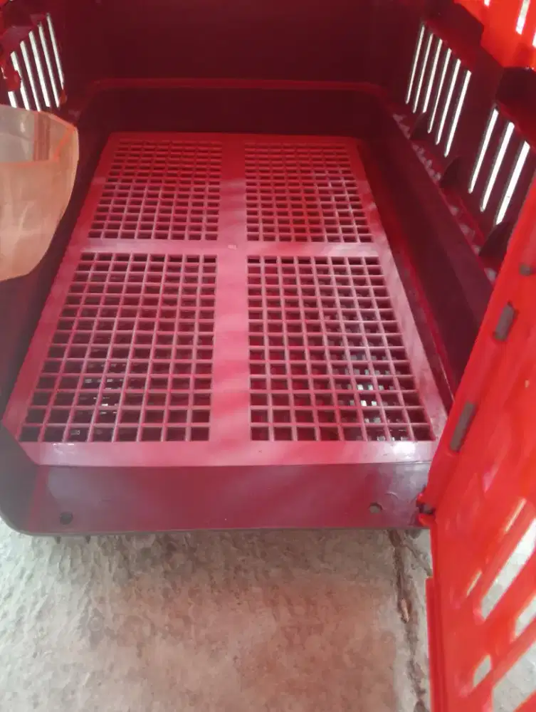 Pet cargo ukuran M