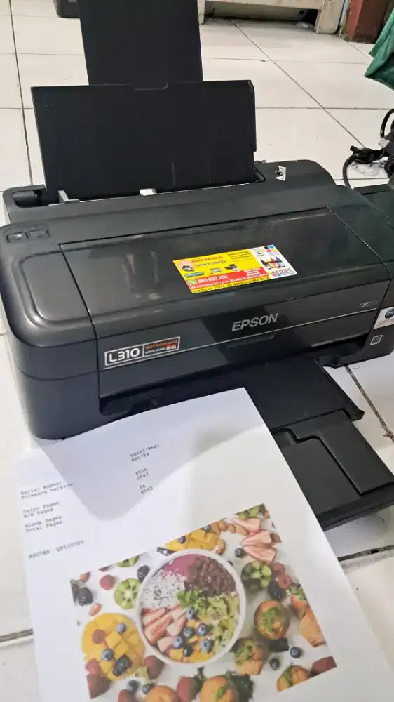 Printer epson L310 juos.