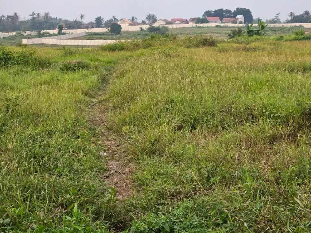 Tanah Industri SHM LT 15.000 m² di Jalan Raya Cikande–Rangkasbitung – Zona Pabrik, Akses Kontainer 40 Feet
