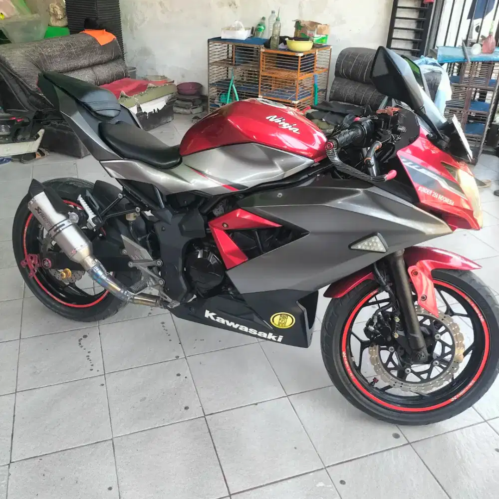 Kawasaki ninja 250R mono 2019