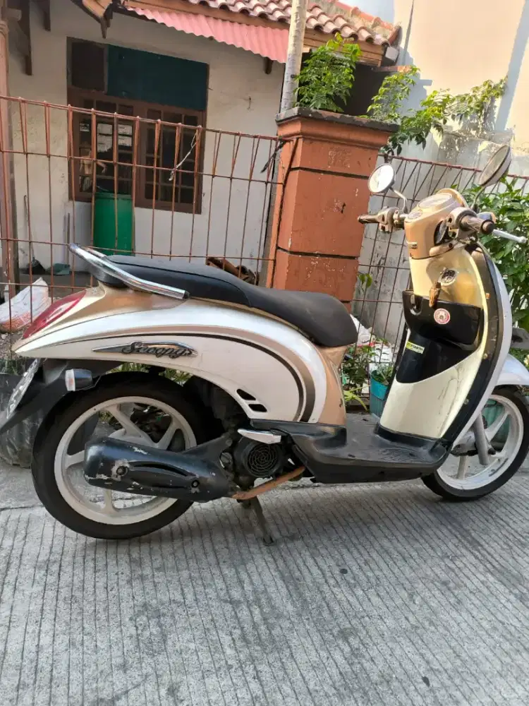 Honda Scoopy 2011.