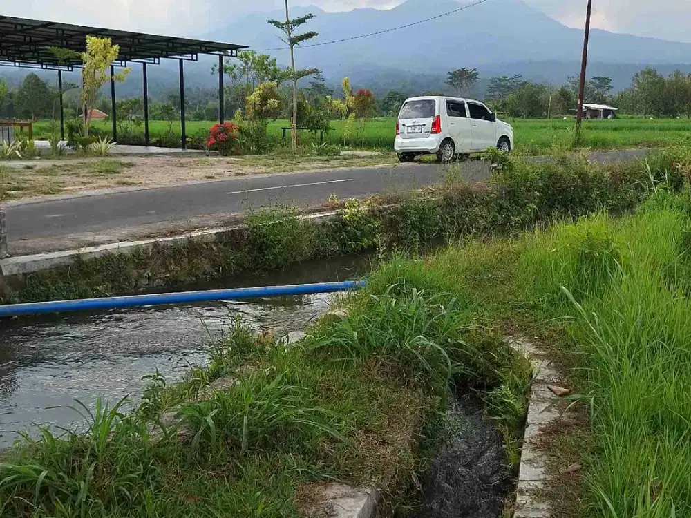 tanah sawah lingsar full view