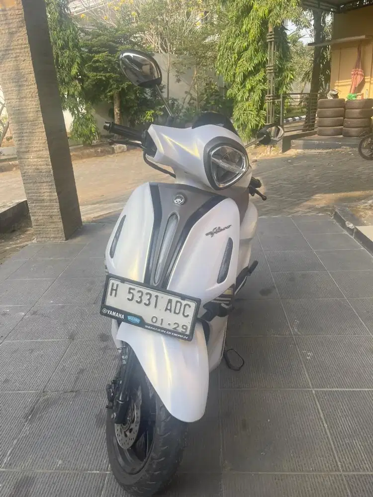 Grand filano 2023