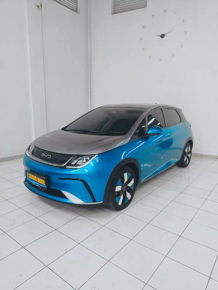 BYD Dolphin Premium 2024