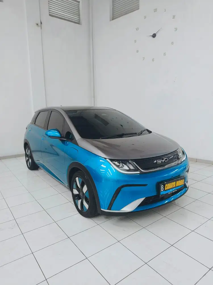 BYD Dolphin Premium 2024