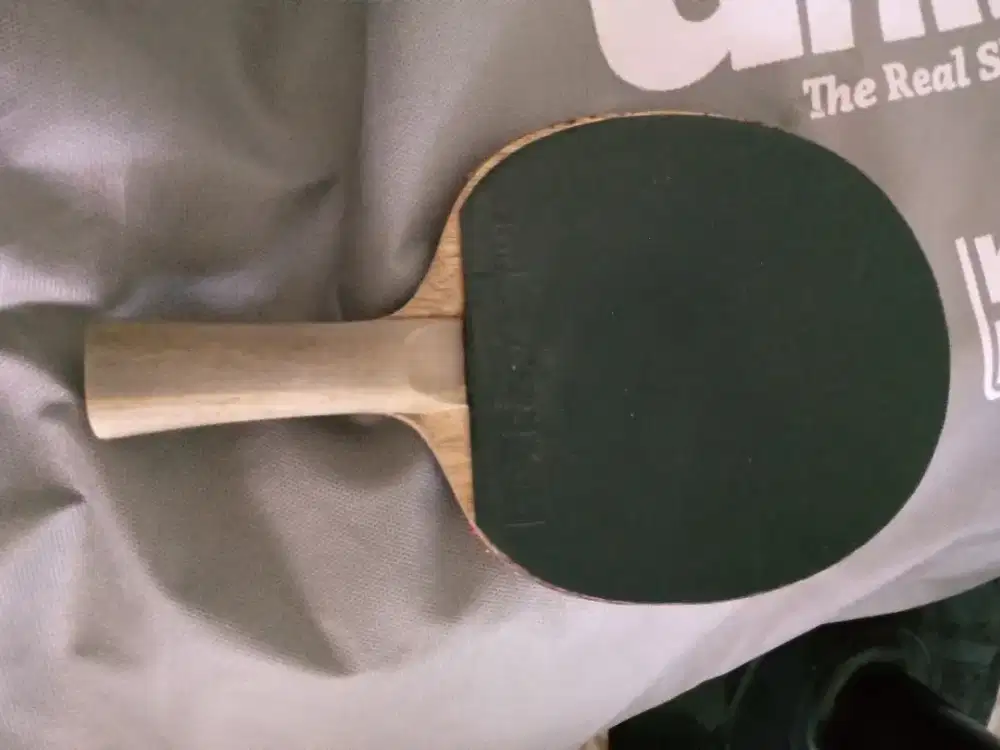 beat tenis meja