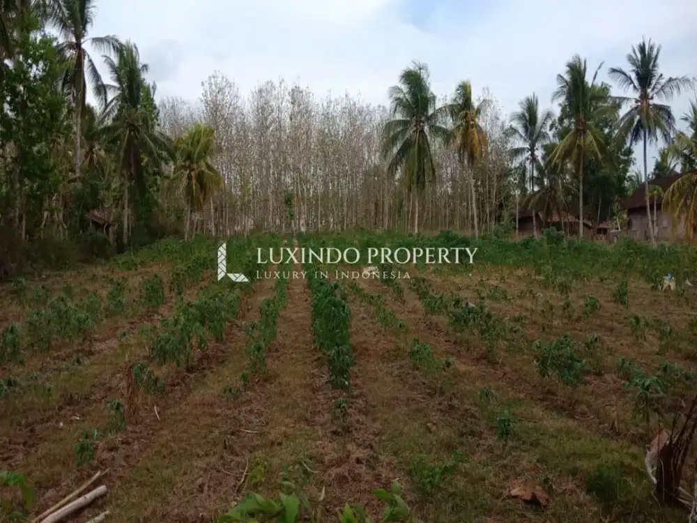 DIJUAL TANAH SELUAS 61,4 ARE DI MELAYA, JEMBRANA