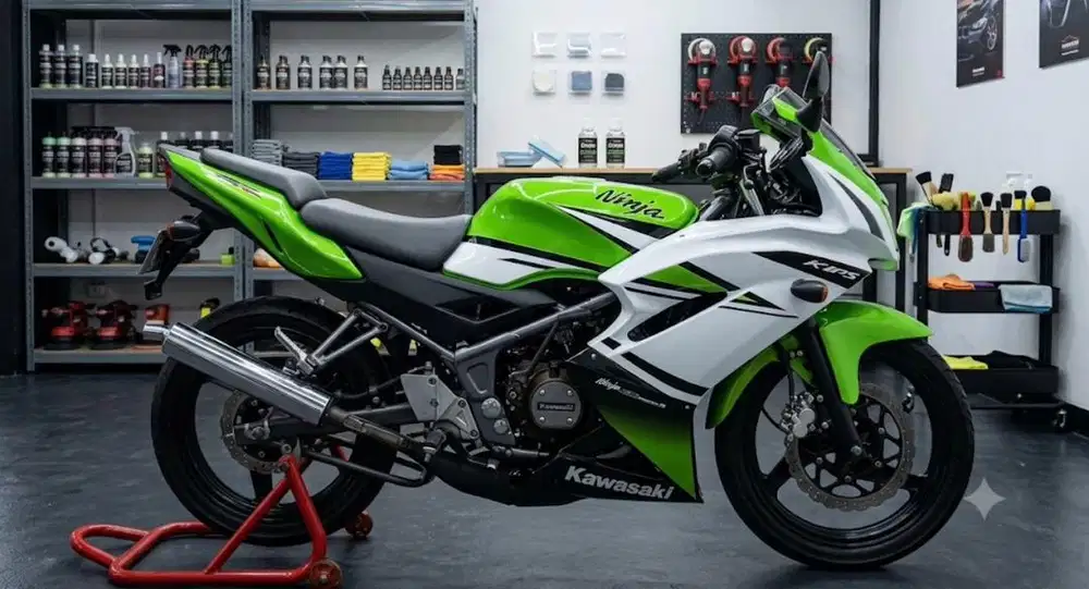 Ninja RR New 2014 30th Annivesary kawasaki