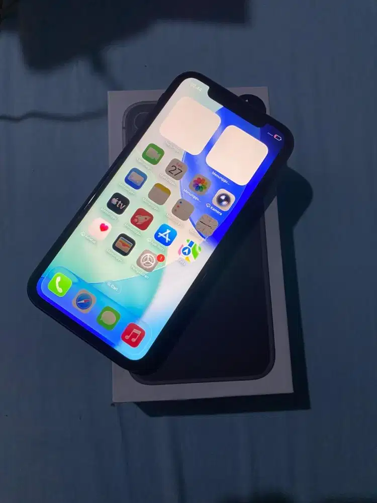 Iphone 11 basic