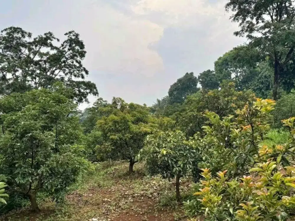 Murah Dibawah Harga Pasaran.jual Kavling SHM di Sentul Bogor. Luas 1187 . Dekat Rainbow Hills Golf
