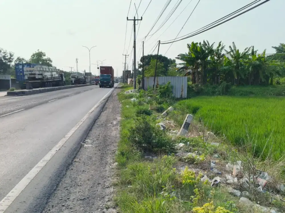 TERMURAH DIJUAL TANAH DI DAERAH SUBANG AKSES LANGSUNG KE JALAN NASIONAL