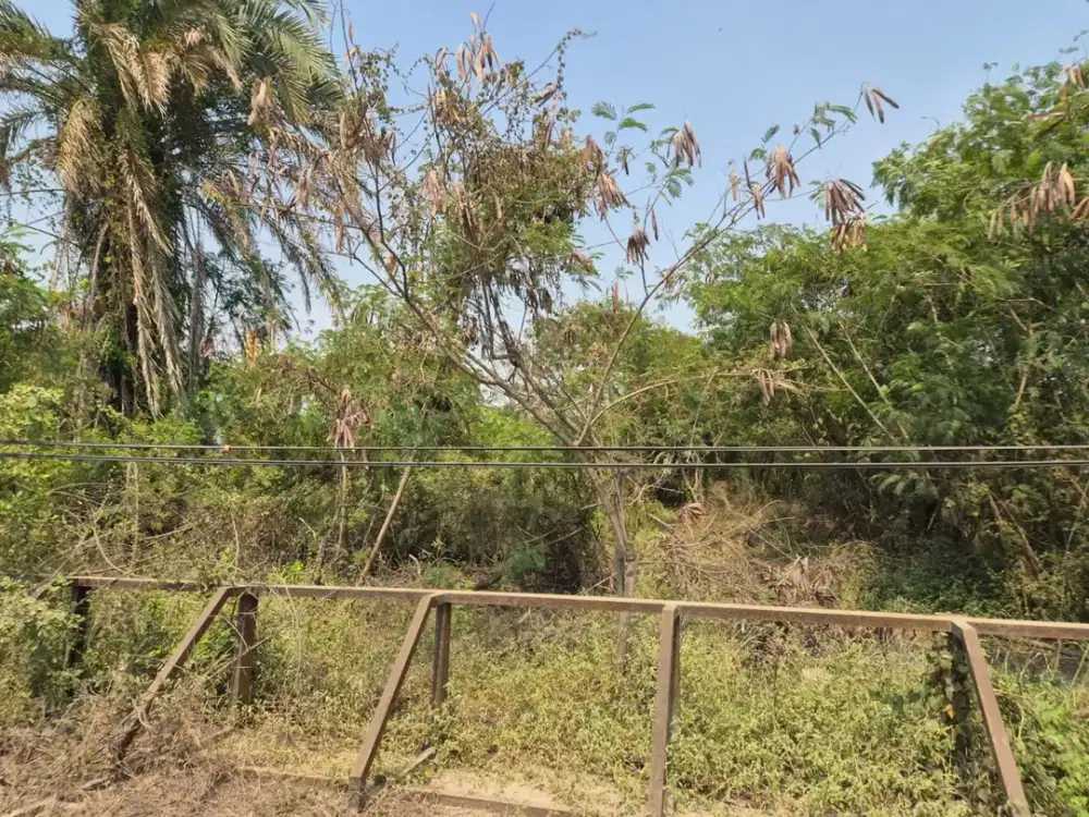 Dijual lahan gudang pakuhaji akses kontainer 40 feet di dalam kawasan pergudangan harga masih nego siap survey