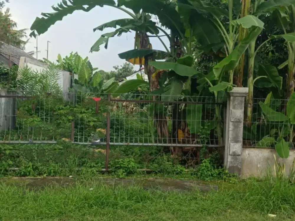 Tanah siap bangun datar