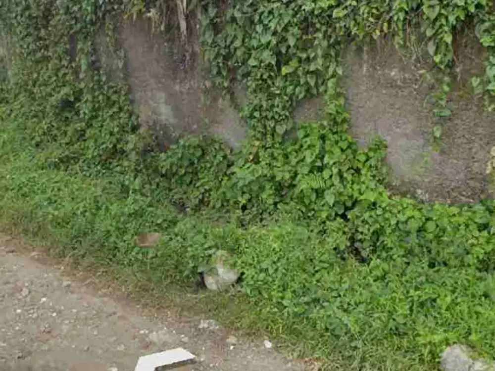 Dijual cepat tanah pinggir jalan