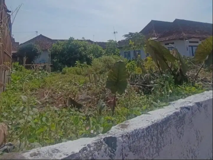 DIJUAL TANAH DALAM KOTA JOGJA STRATEGIS DEKAT JL MAGELANG