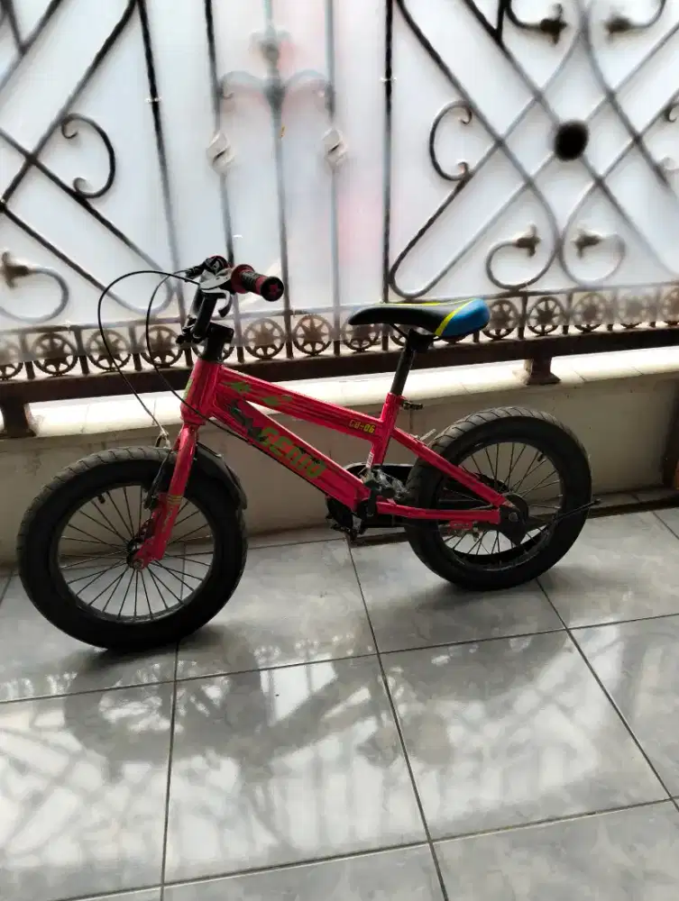 Sepeda anak anak
