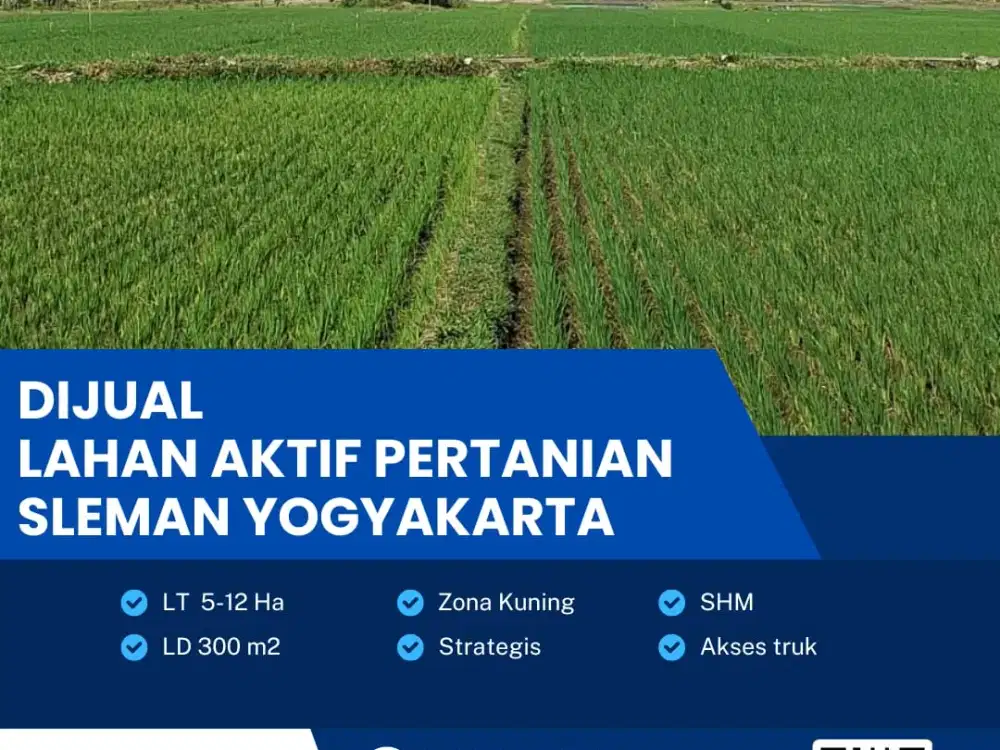 Dijual Lahan Pertanian Aktif Lokasi Strategis Sleman, Yogyakarta Luas 50.000 M2