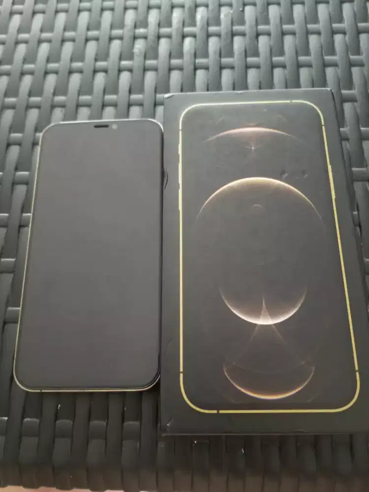 fs iphone 12 pro 256 inter LL