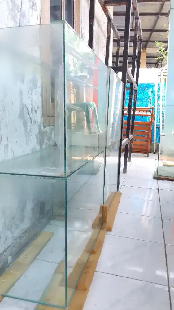 Aquarium Ikan Hias Murah