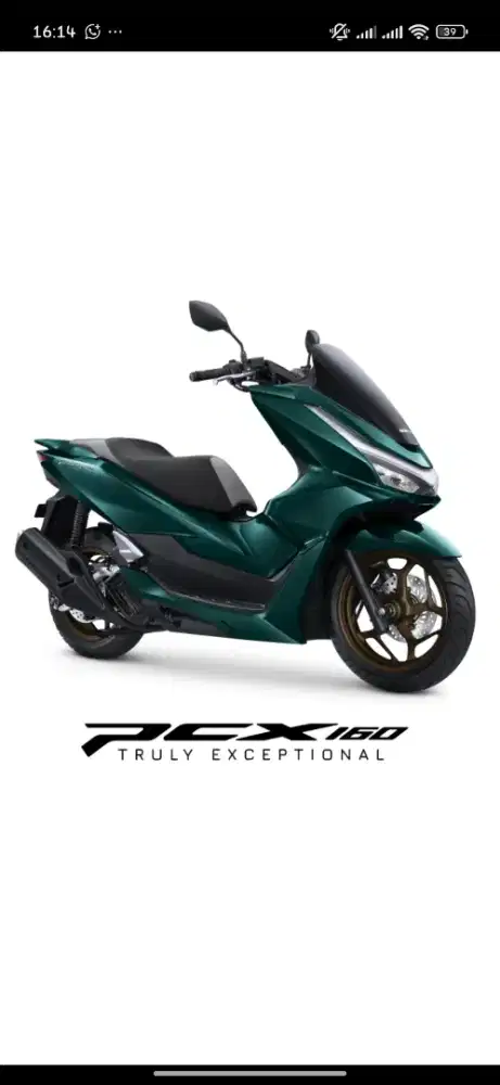 Stylo 160 Hijau