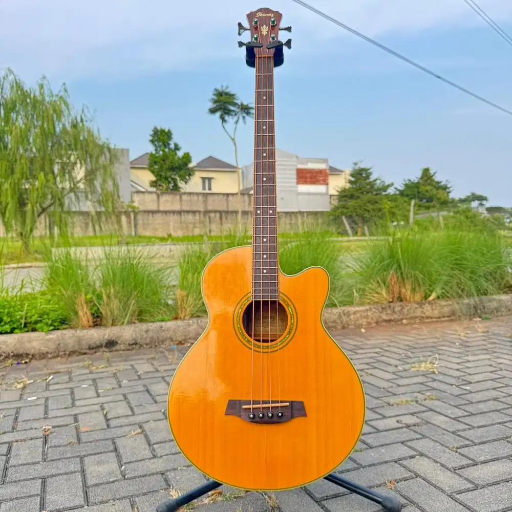 Bass Akustik IBANEZ AEB10E NT