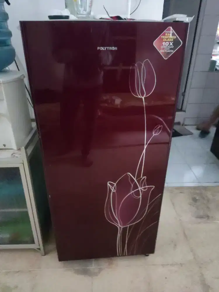 Kulkas Polytron 1pintu belezia