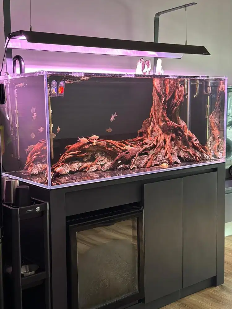 Jual Fullset + Cabinet Aquarium