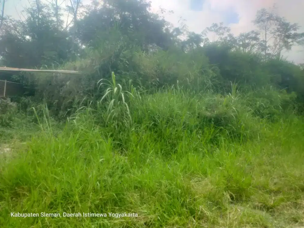 Dijual Lahan Zona Hijau Lokasi Sleman,Yogyakarta Luas 2,8 Ha