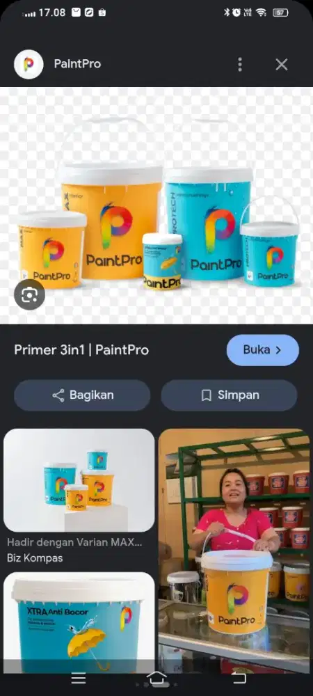 Jual cet paintpro murah