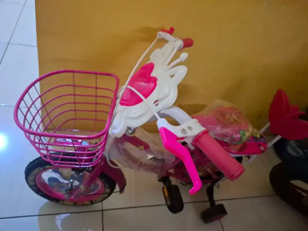 Sepeda Anak Perempuan MINI CENTRUM CT 308 Ukuran 12 inch