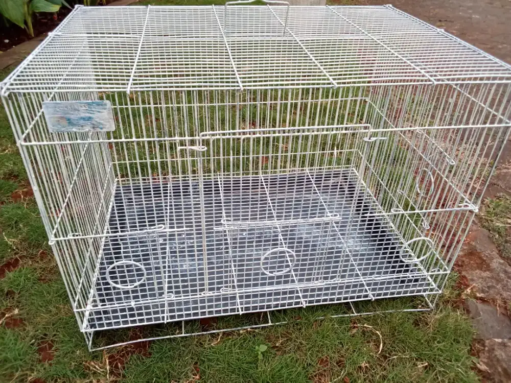Kandang kotak baru di cat