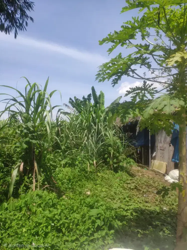 Dijual Tanah Simalingkar B