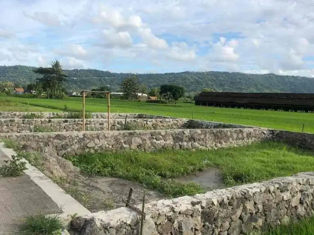 Dijual Tanah Kaplingan di Srimulyo Piyungan Yogya