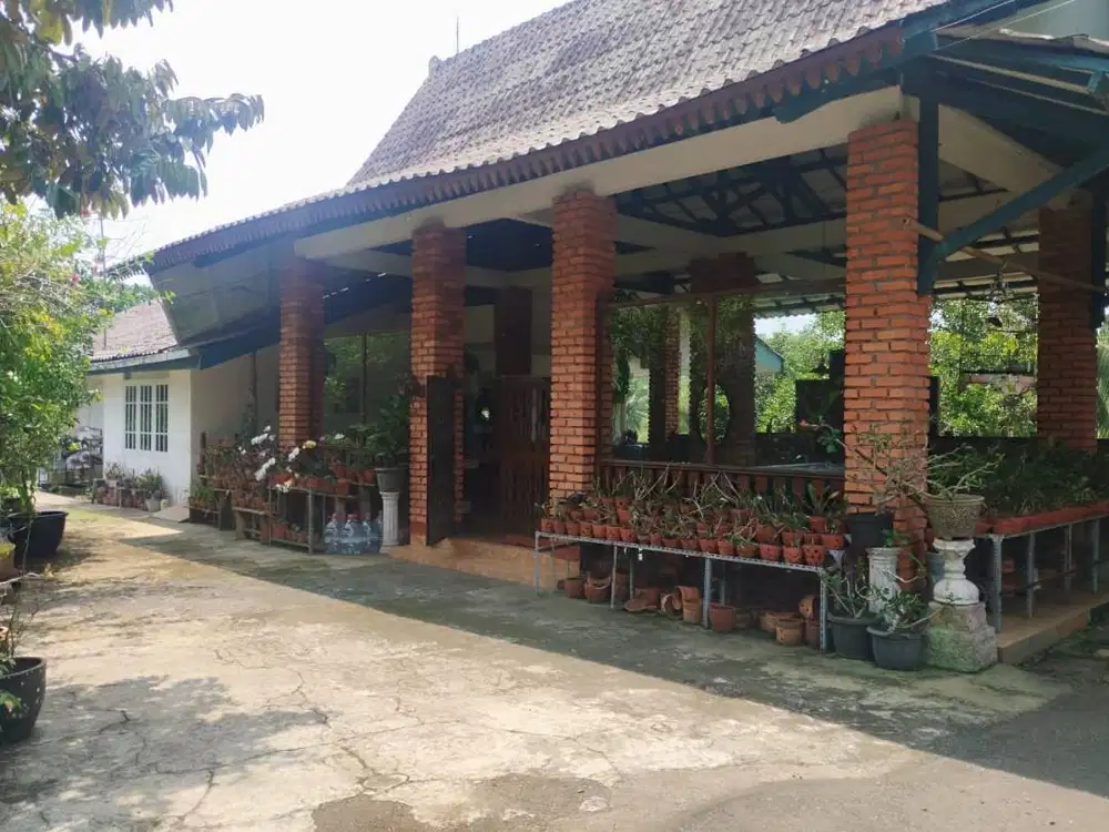 Jual Tanah di Jalan Raya Sukabumi CIbadak 3.9 Hektar