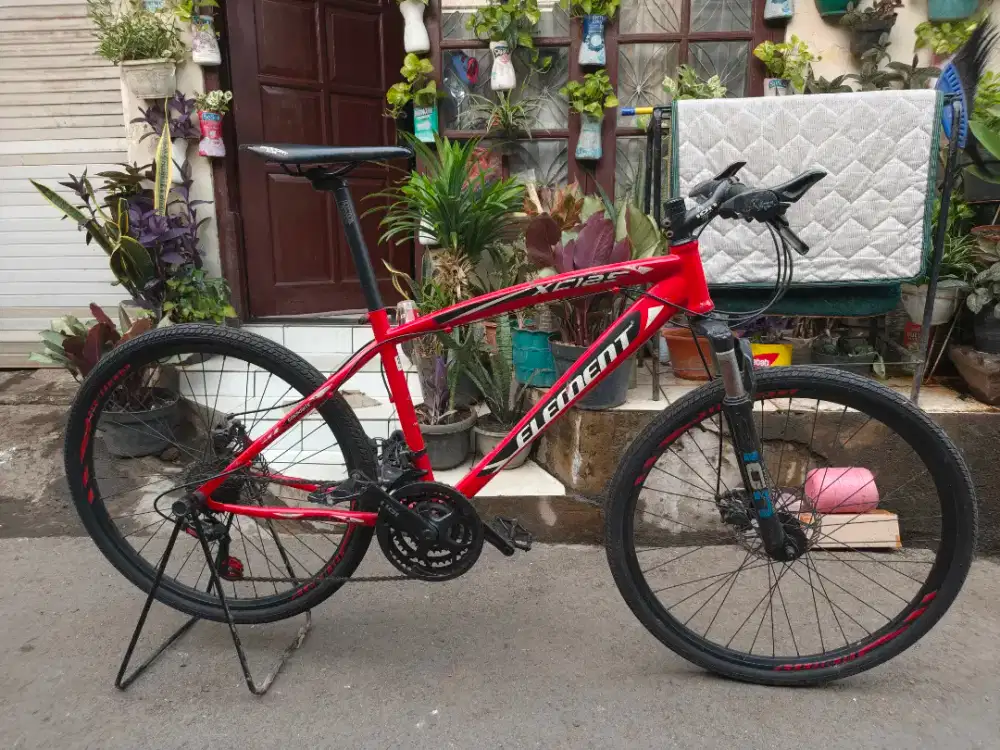 Sepeda element xc 125