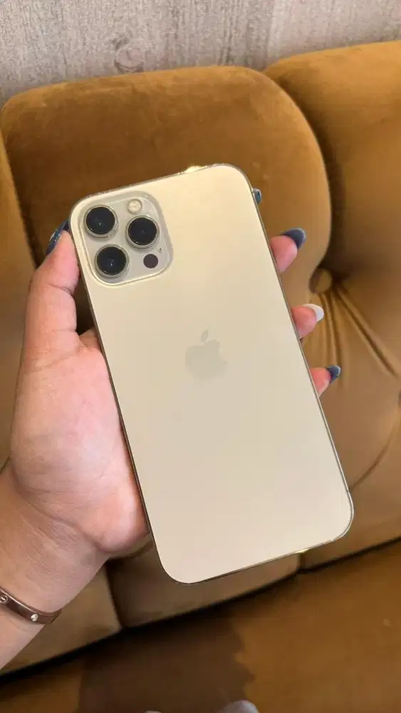 Iphone 12 ProMax 256gb Beacukai
