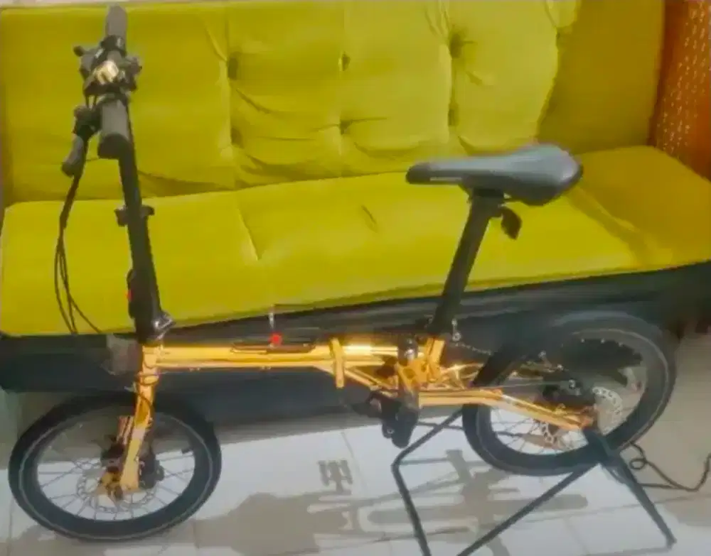 Element troy Gold 10 speed