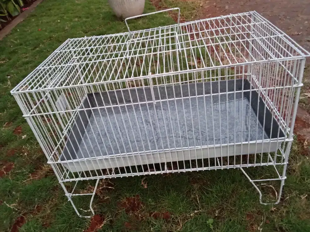 Keramba mandi burung