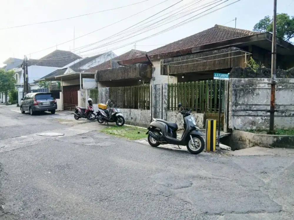 Tanah Hooq Bunga Flamboyan Dekat Suhat